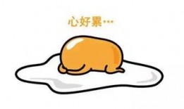 铲屎官最新爆料,宠物界的最新趣闻爆料！